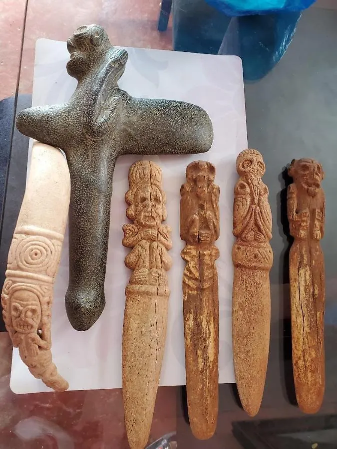 Casa del Árbol ecológica. Vila Miches