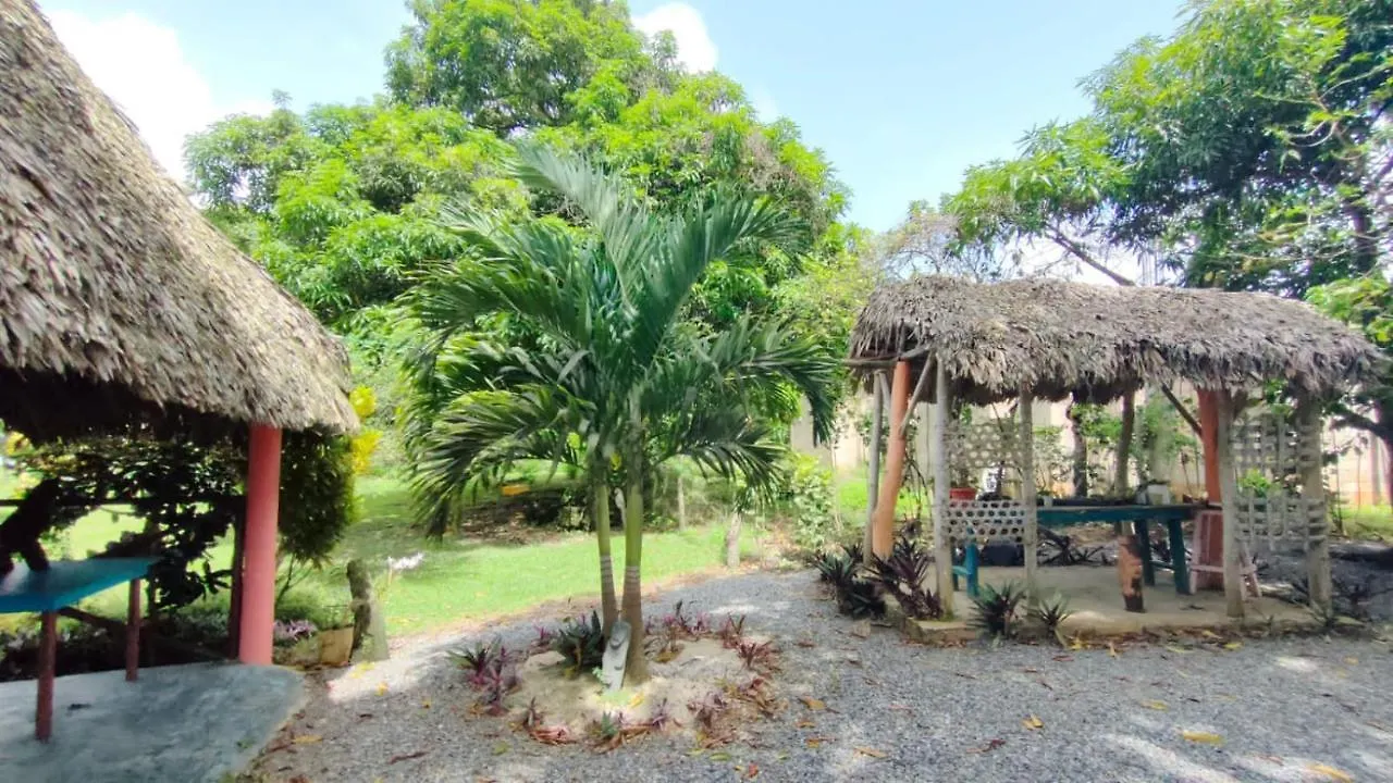 Casa del Árbol ecológica. Vila Miches República Dominicana