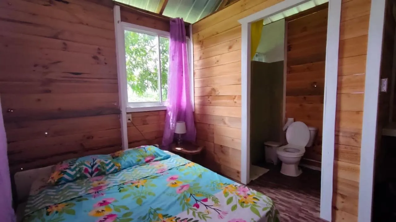 Casa del Árbol ecológica. Vila Miches 0*,  República Dominicana